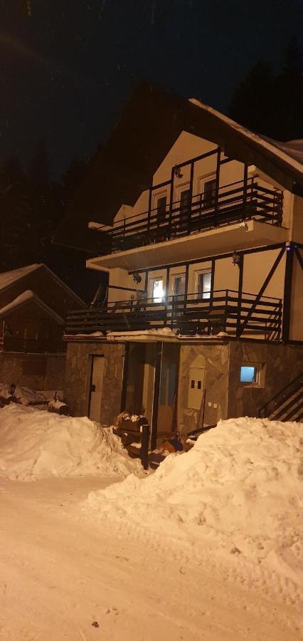 Vila Leni Κοπαόνικ Εξωτερικό φωτογραφία