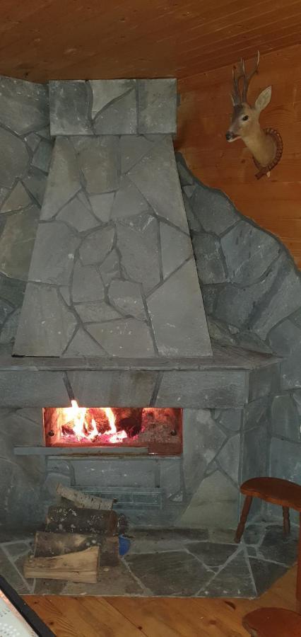 Vila Leni Κοπαόνικ Εξωτερικό φωτογραφία